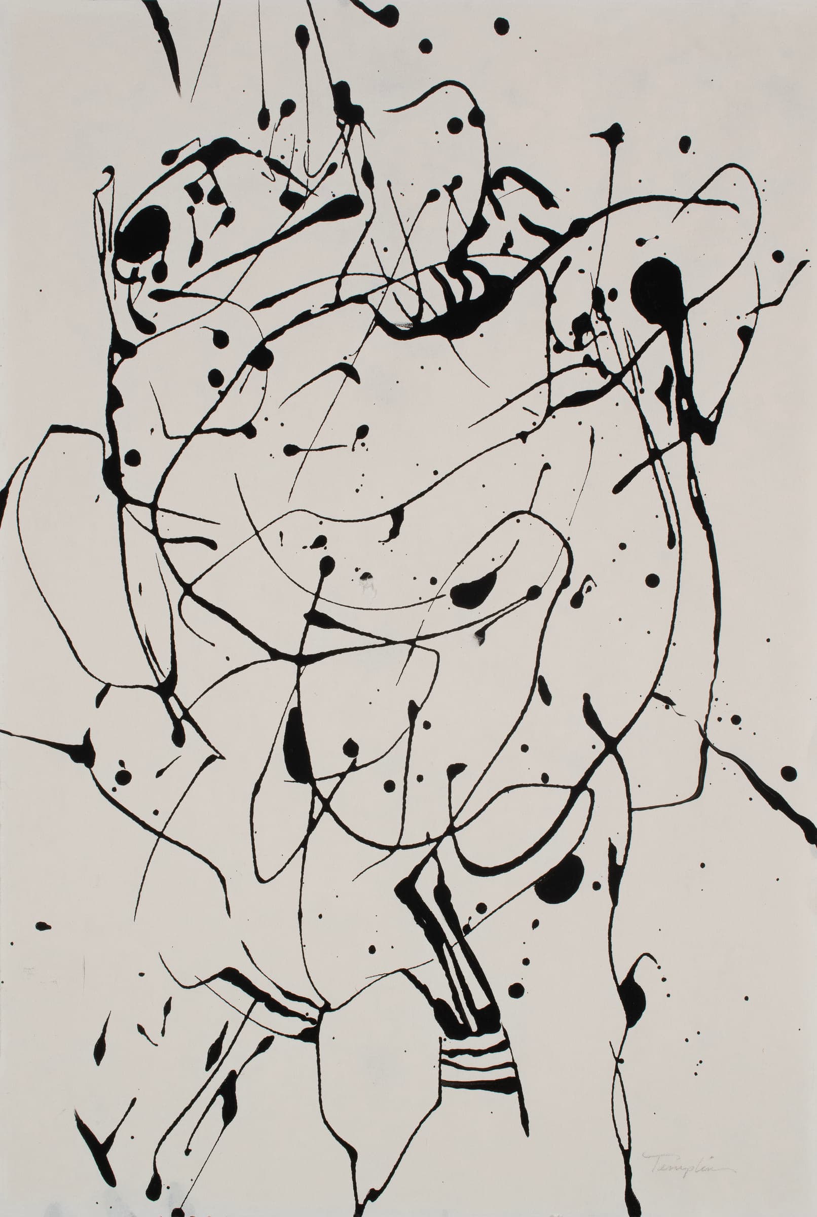 Fandango by Valerie Tamplin