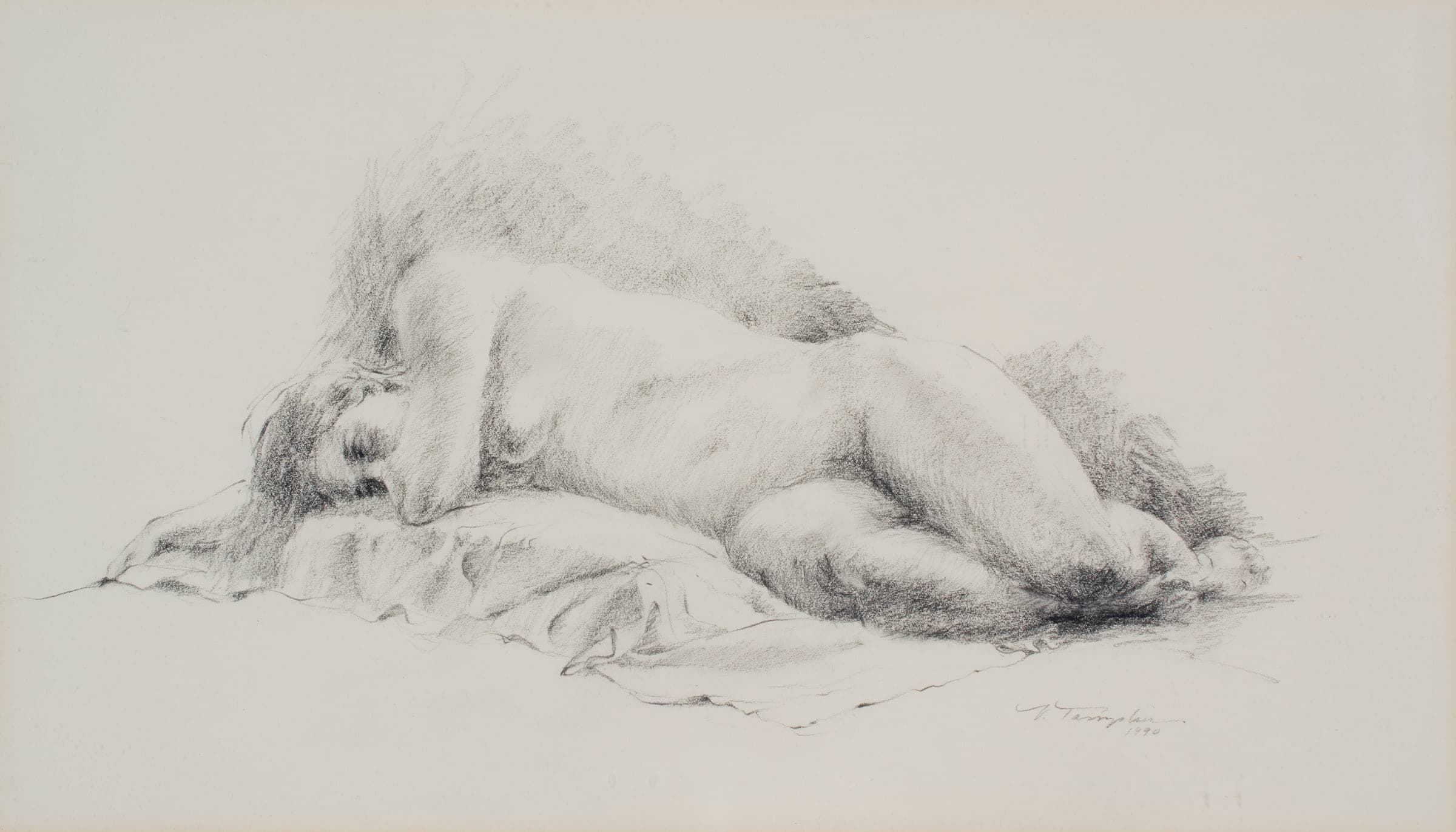 Prone Study by Valerie Tamplin